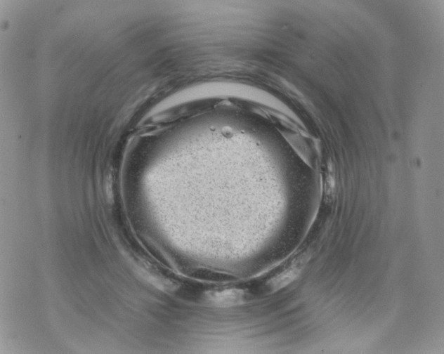 X0000074290452200609151921