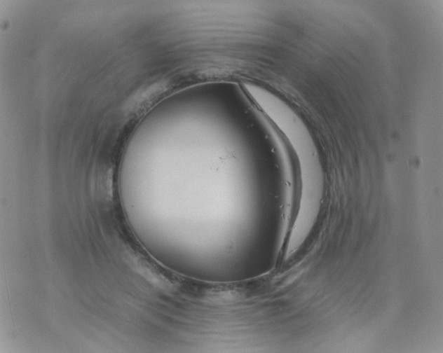 X0000074290454200609151921