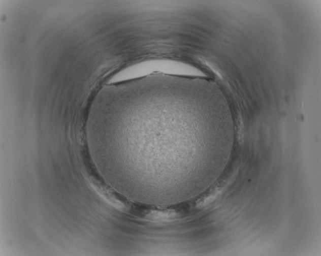 X0000074290455200609151921