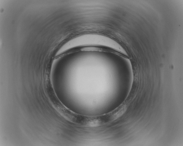 X0000074290456200609151921