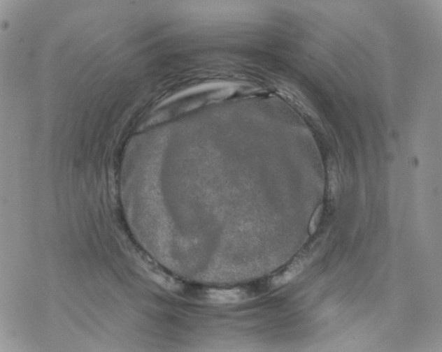 X0000074290457200609151921