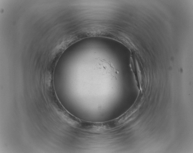 X0000074290458200609151921