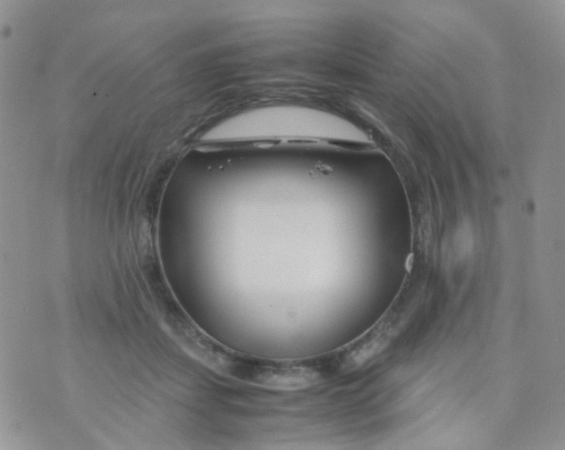 X0000074290459200609151921