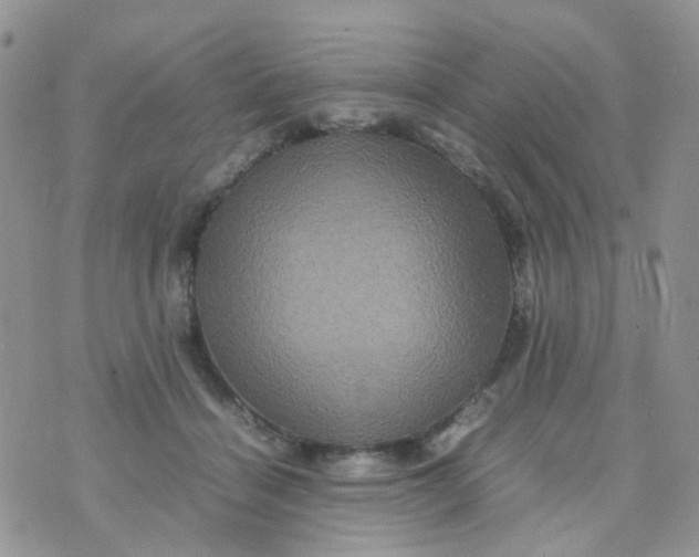 X0000074290460200609151921