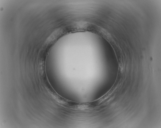 X0000074290462200609151921