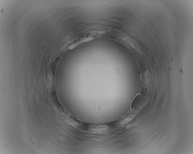 X0000074290463200609151921