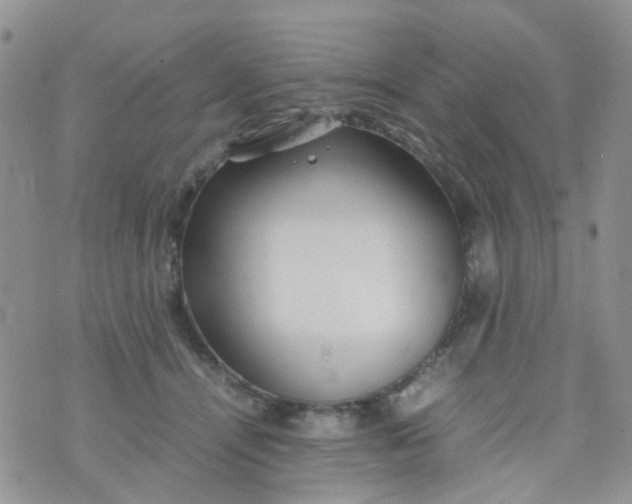 X0000074290464200609151921