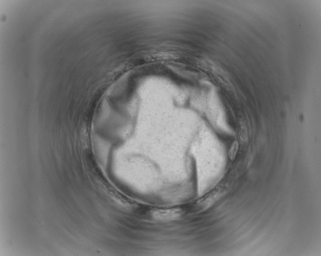 X0000074290465200609151921