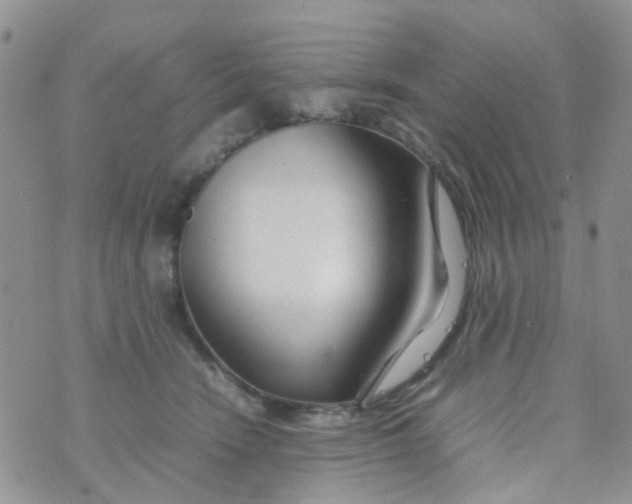 X0000074290466200609151921