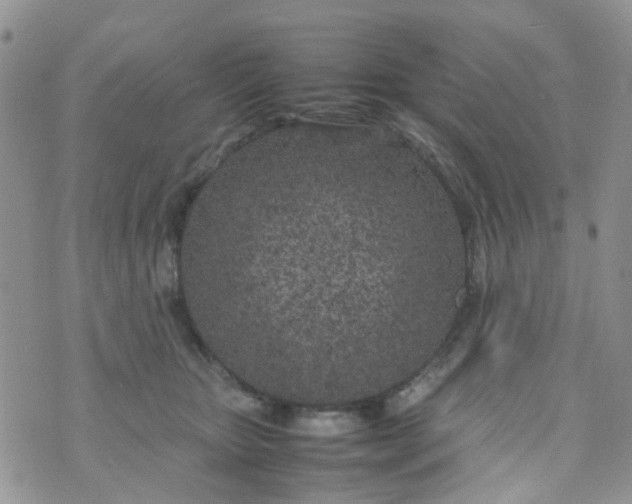 X0000074290467200609151921