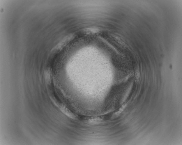 X0000074290468200609151921