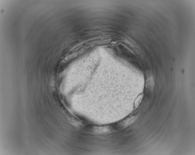 X0000074290469200609151921