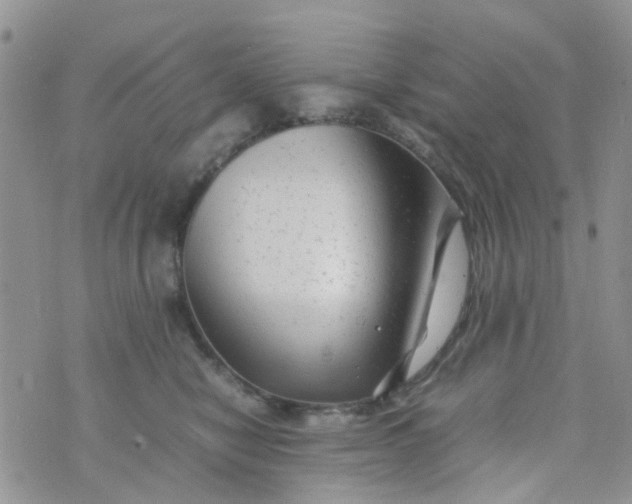 X0000074290470200609151921