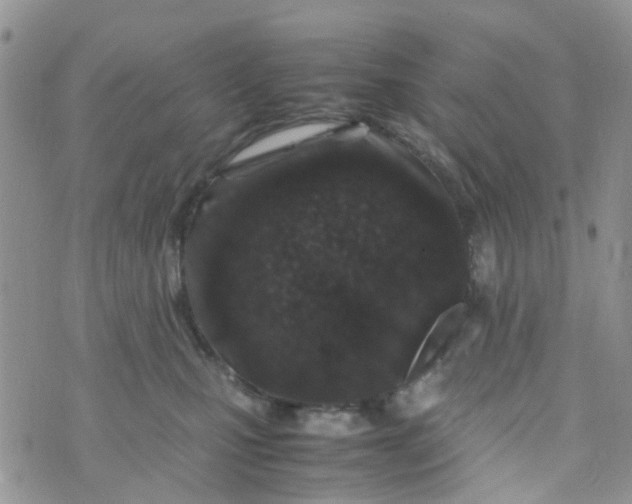 X0000074290471200609151921