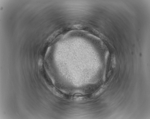 X0000074290472200609151921