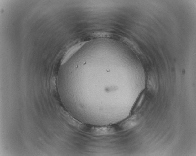 X0000074290473200609151921