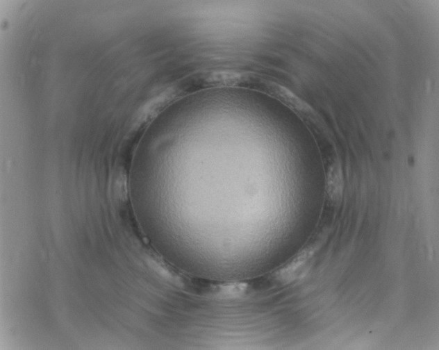 X0000074290474200609151921