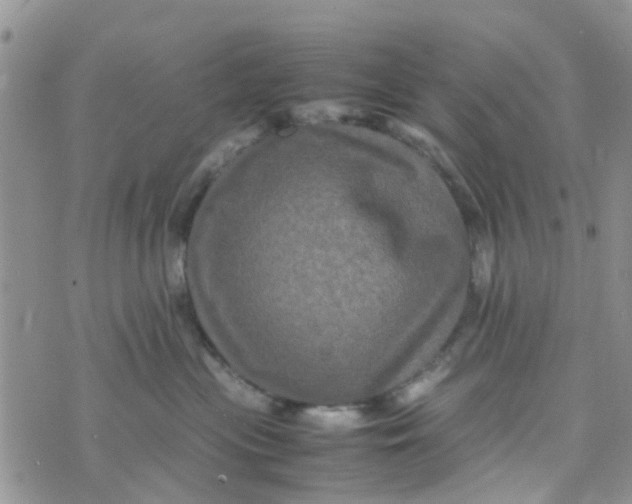 X0000074290477200609151921