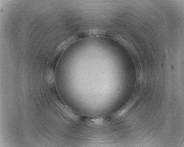 X0000074290478200609151921