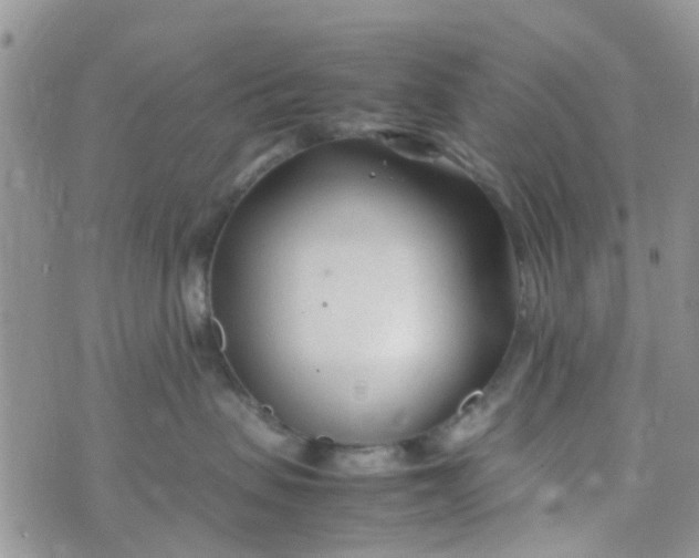 X0000074290479200609151921