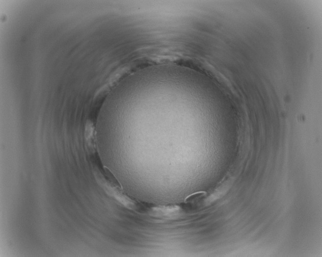 X0000074290480200609151921