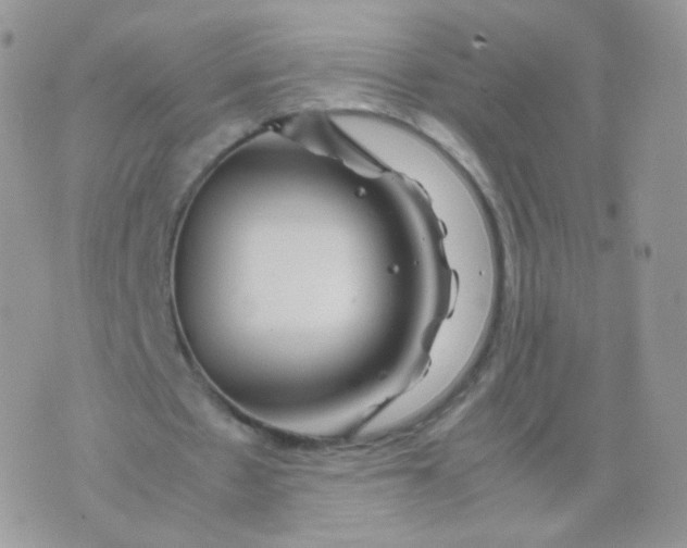 X0000074290481200609151921