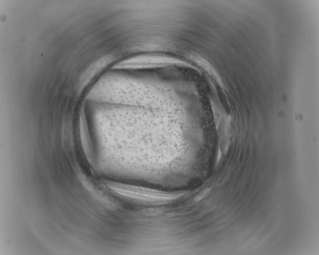 X0000074290482200609151921