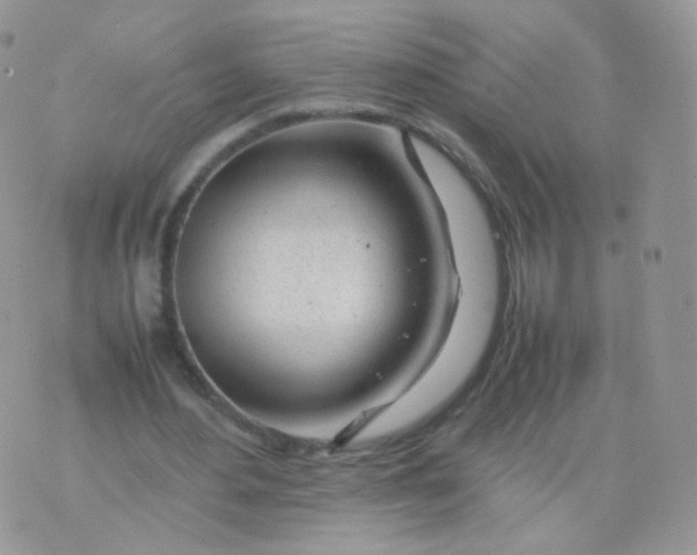 X0000074290484200609151921