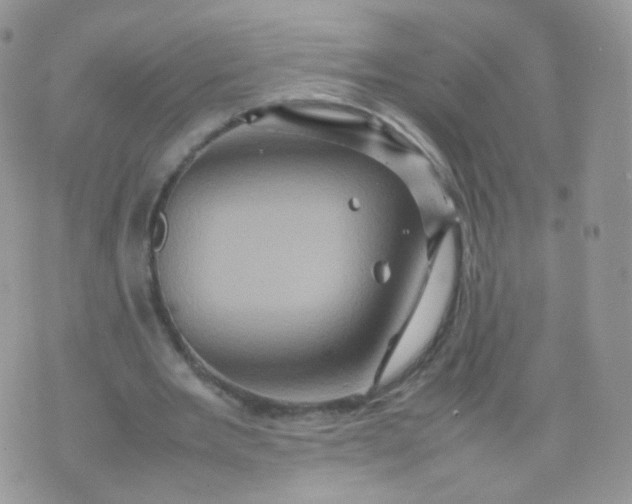 X0000074290485200609151921