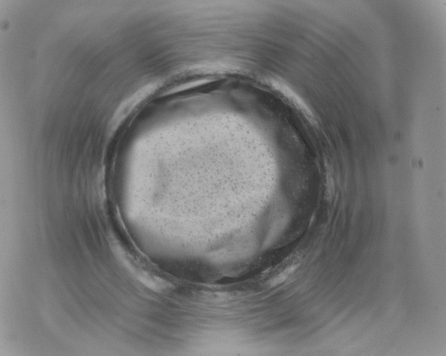 X0000074290486200609151921