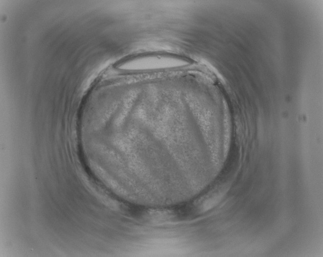 X0000074290487200609151921