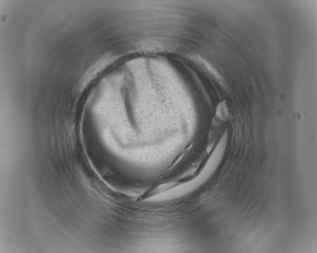 X0000074290488200609151920