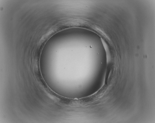 X0000074290489200609151920