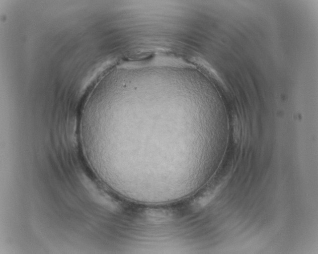 X0000074290490200609151920