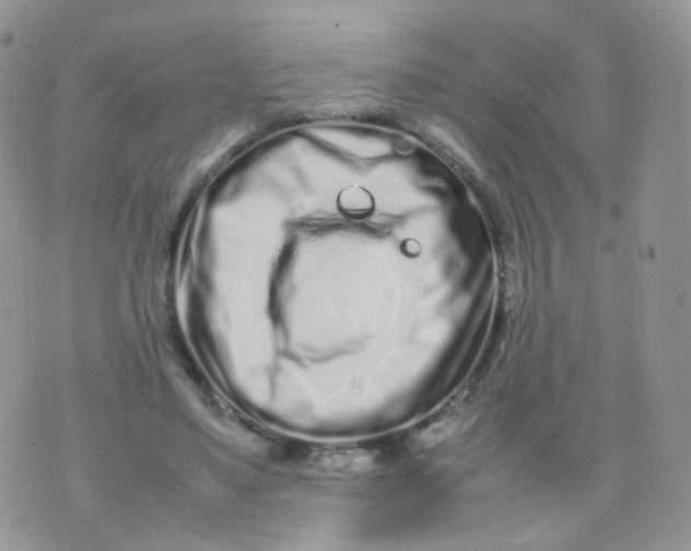 X0000074290491200609151920