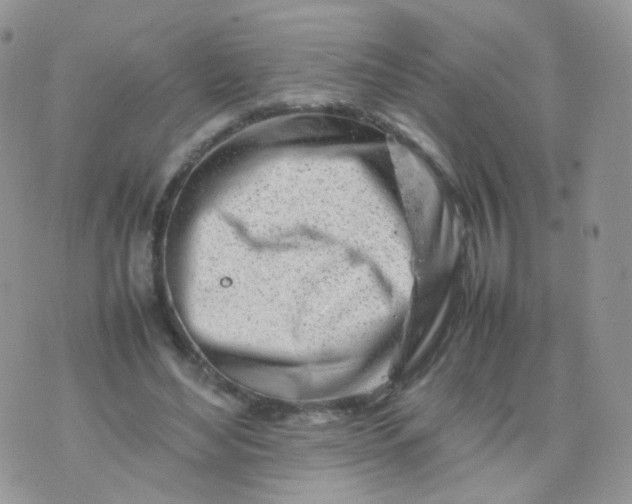 X0000074290492200609151920