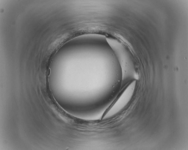 X0000074290493200609151920