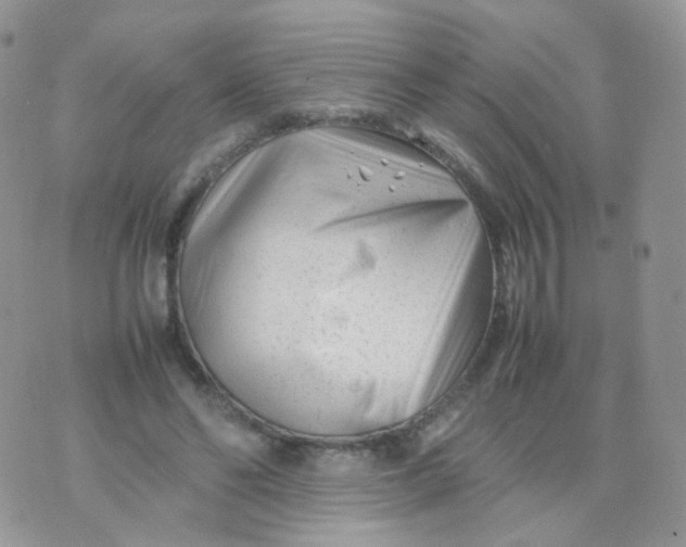 X0000074290494200609151920