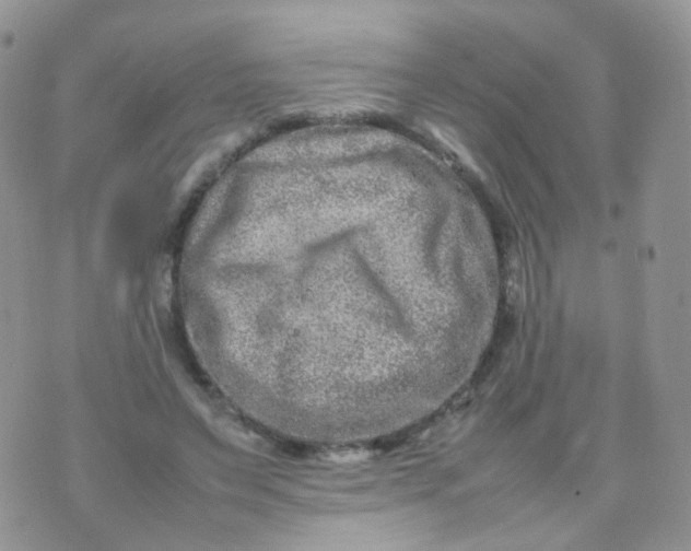 X0000074290495200609151920