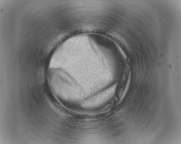 X0000074290496200609151920