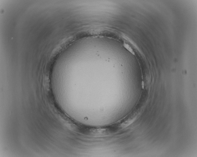 X0000074290497200609151920