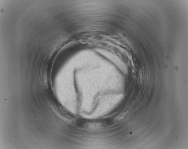 X0000074290500200609151920