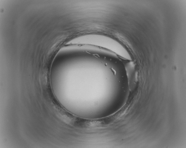 X0000074290501200609151920