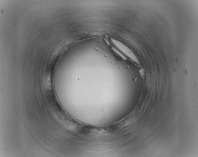 X0000074290502200609151920