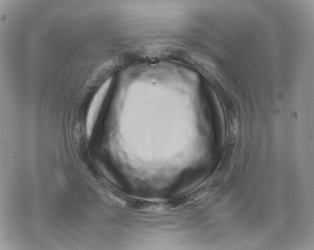 X0000074290503200609151920