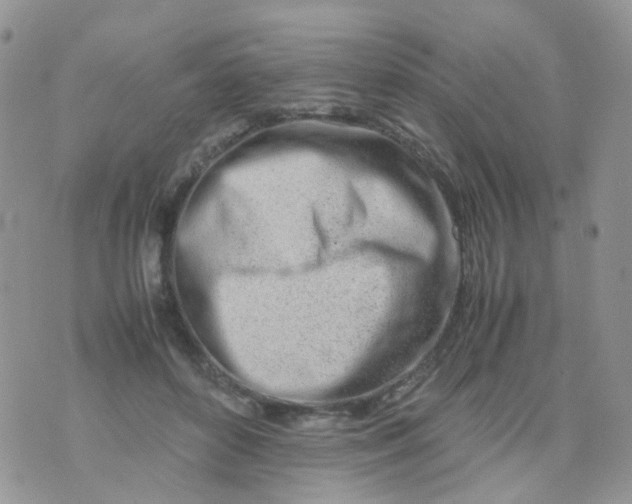 X0000074290504200609151920