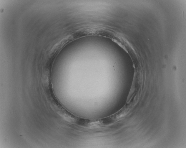 X0000074290505200609151920