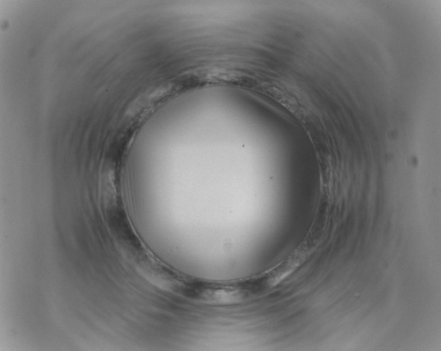 X0000074290506200609151920