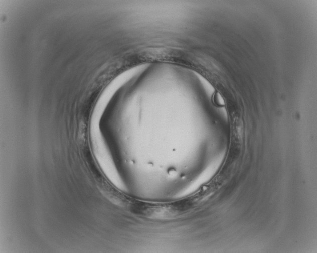 X0000074290507200609151920