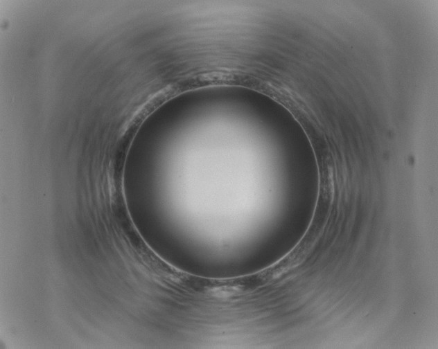 X0000074290508200609151920